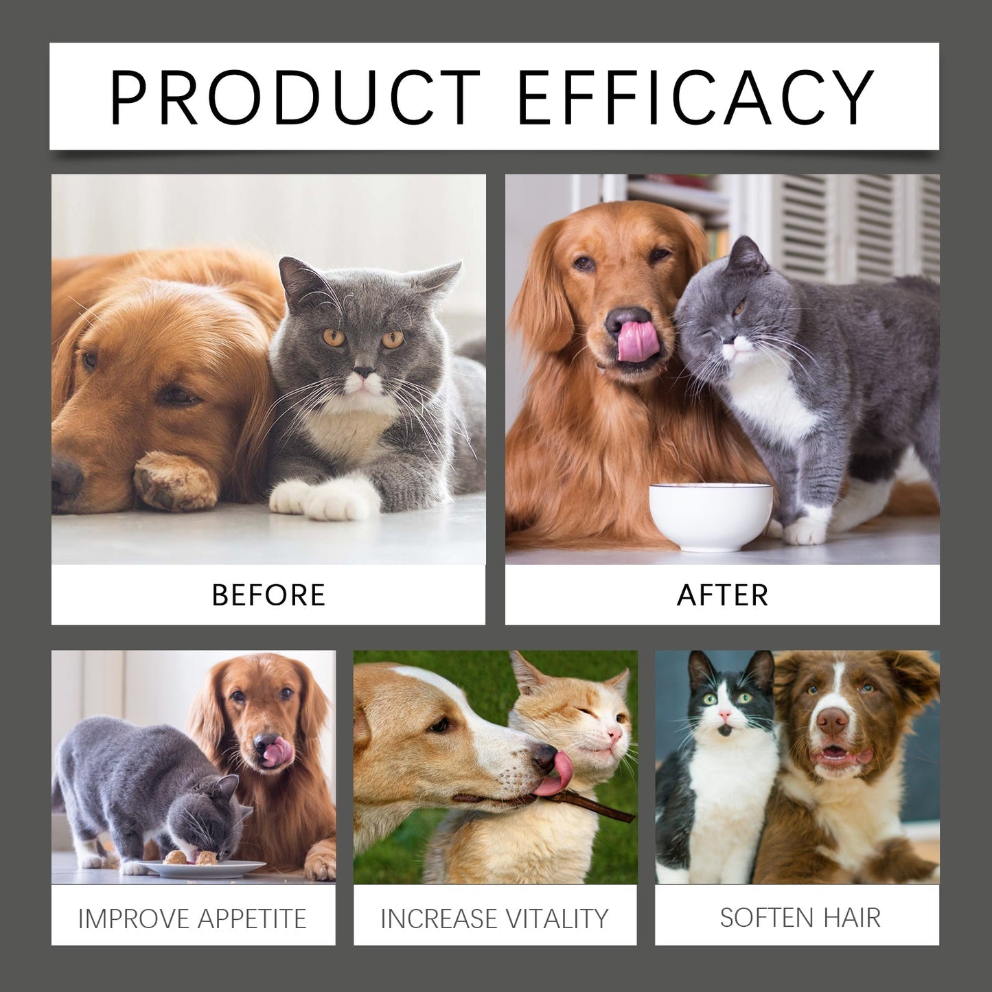 Yegbong Cat and Dog Probiotic Supplement Tablets Boost Digestive Function and Immunity