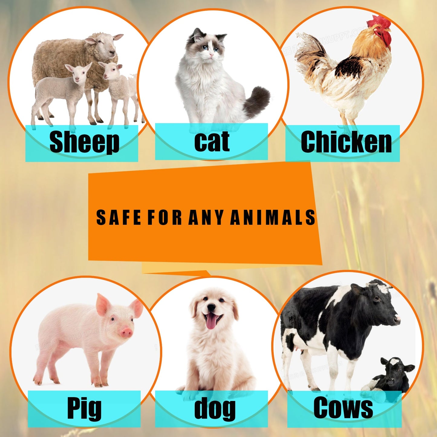 Yegbong Pet Insect Repellent Spray Effective Flea Tick and Mite Control for Dogs and Cats