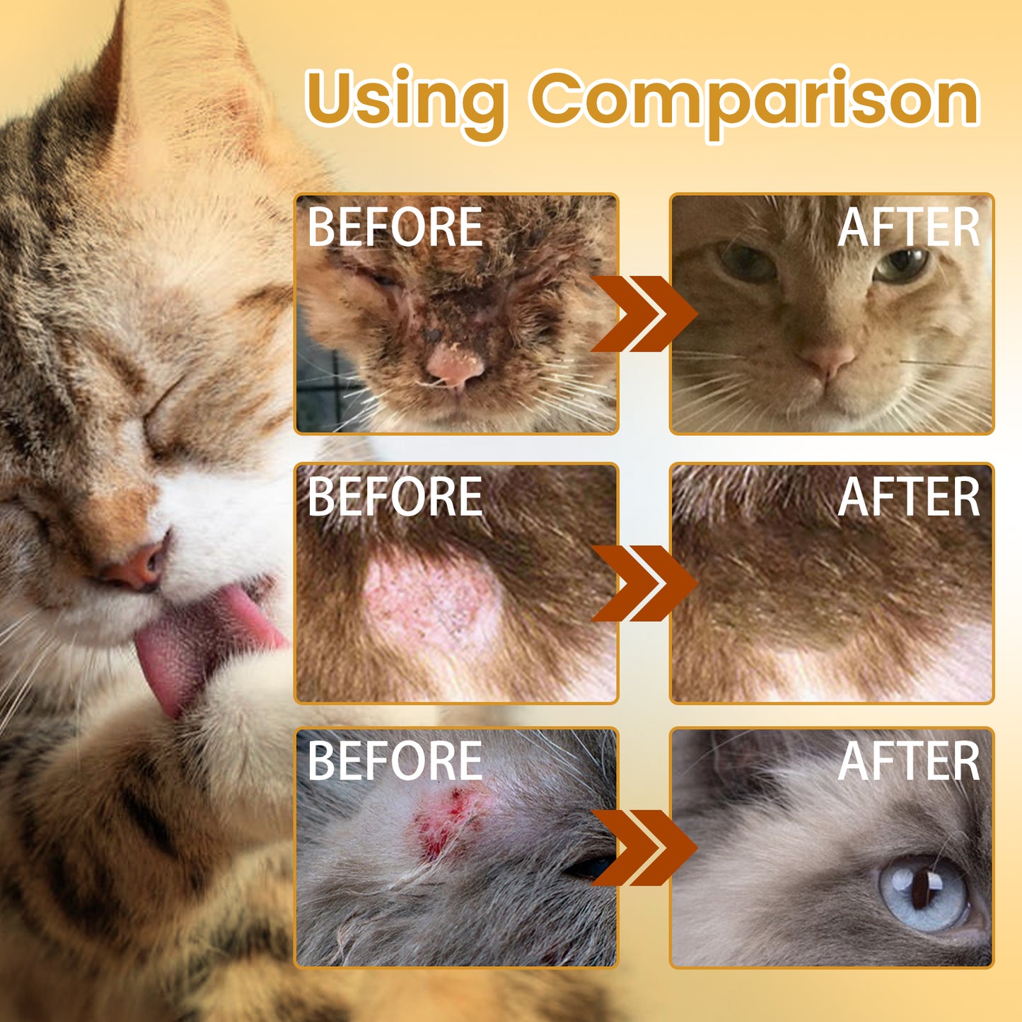 cffe0fda-9a6c-4a5b-be77-a35db6636ad5