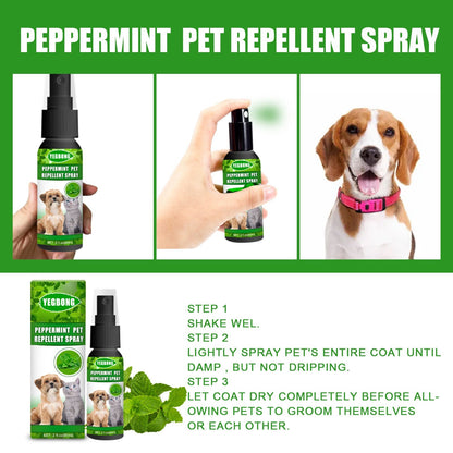Yegbong Mint Pet Mite Spray Remove Fleas Mites and Fungal Growth for Dogs and Cats