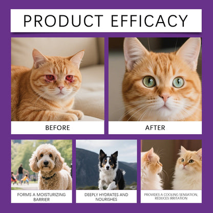 EelJoy Pet Eye Tear Stain Paste Gentle No Rinse Clean for Dogs and Cats