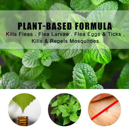 Yegbong Mint Pet Mite Spray Remove Fleas Mites and Fungal Growth for Dogs and Cats
