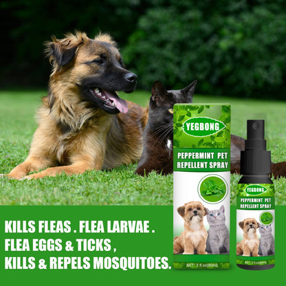 Yegbong Mint Pet Mite Spray Remove Fleas Mites and Fungal Growth for Dogs and Cats