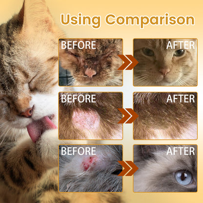 cffe0fda-9a6c-4a5b-be77-a35db6636ad5