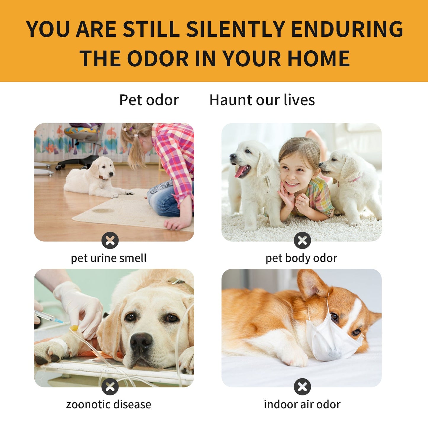 Yegbong Pet Deodorizing Spray Remove Odors and Freshen Indoor Air with Long Lasting Scent