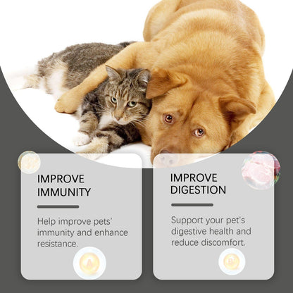 Yegbong Cat and Dog Probiotic Supplement Tablets Boost Digestive Function and Immunity
