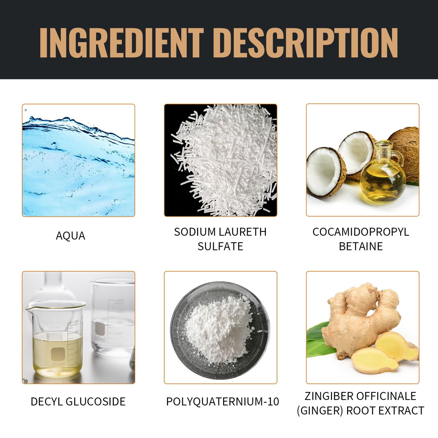 d805af97-a093-408c-ba6f-c6684bbd6298