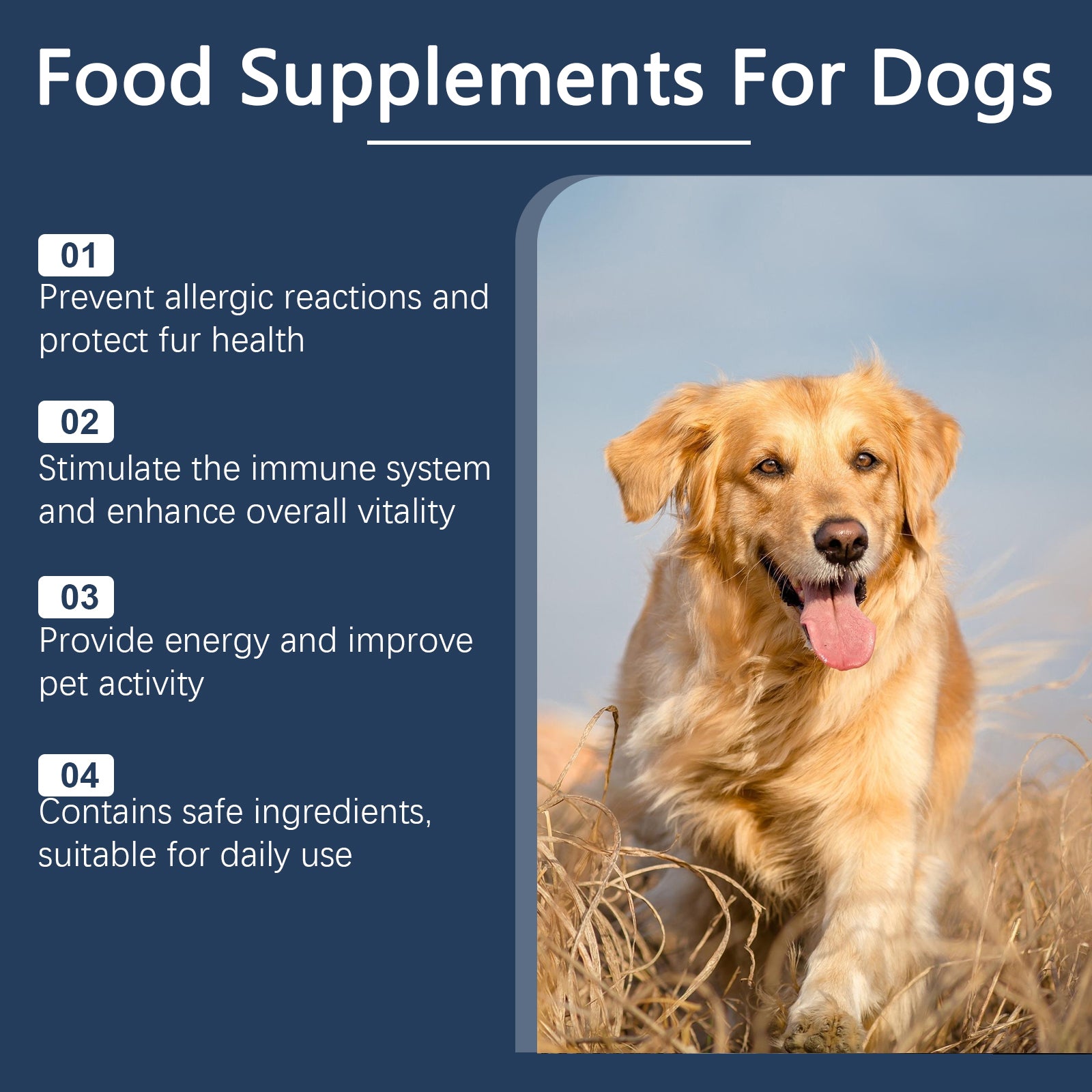 03cfe112-34a7-4221-a912-6b6f14c55270