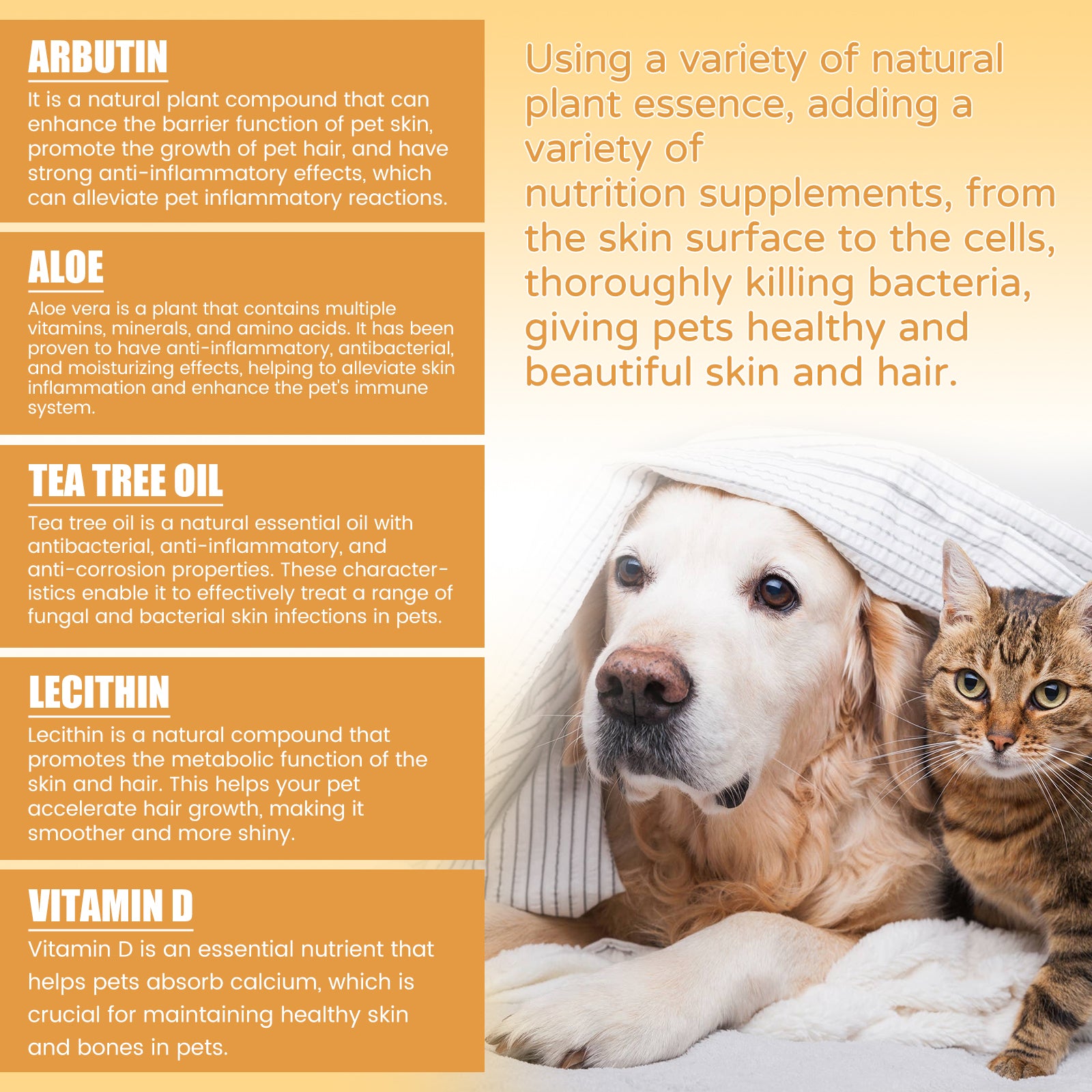 04d83bbe-6749-4a3d-a640-13c62daf8d19