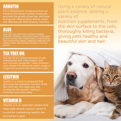 04d83bbe-6749-4a3d-a640-13c62daf8d19