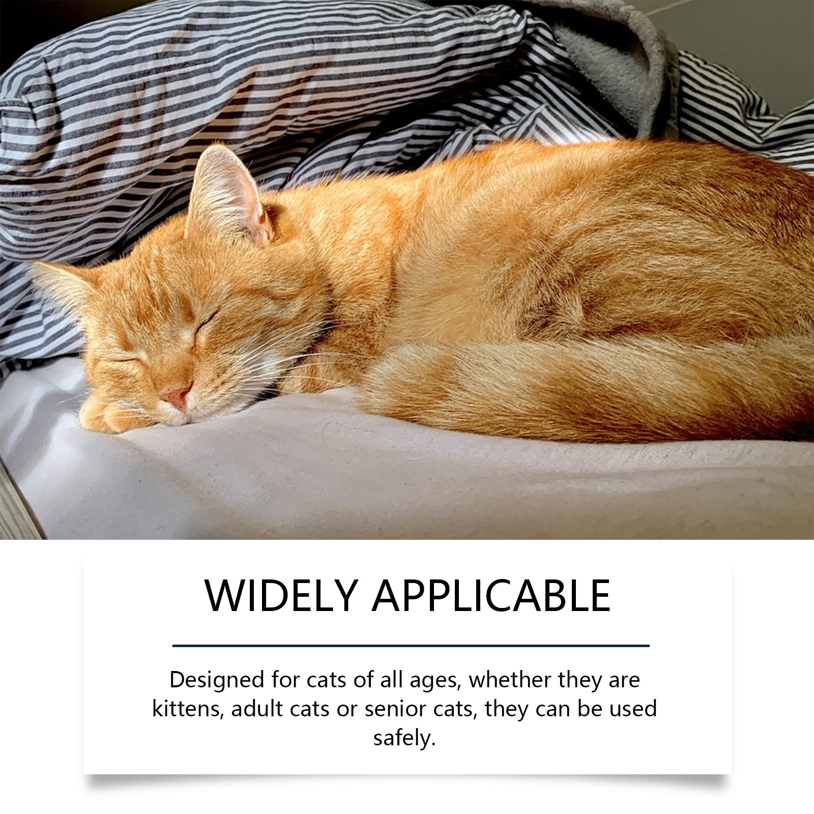 2cd5da4f-eb5a-4ada-b2ba-7c93a310a31d