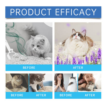 Yegbong Cat Litter Fresh Gel Eliminate Urine and Feces Odors