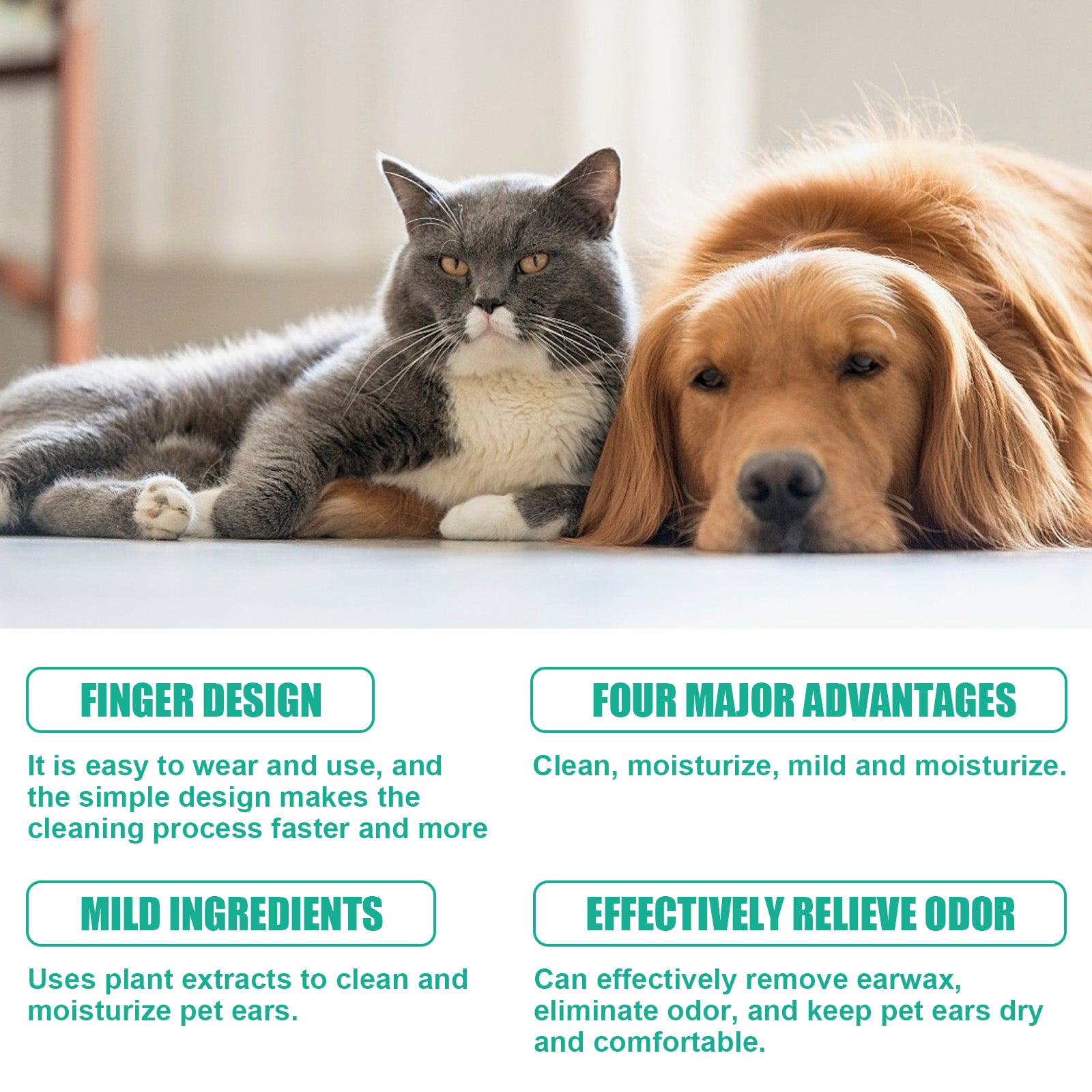 f16e57bc-fc3b-4e85-9c21-9b36207e454f