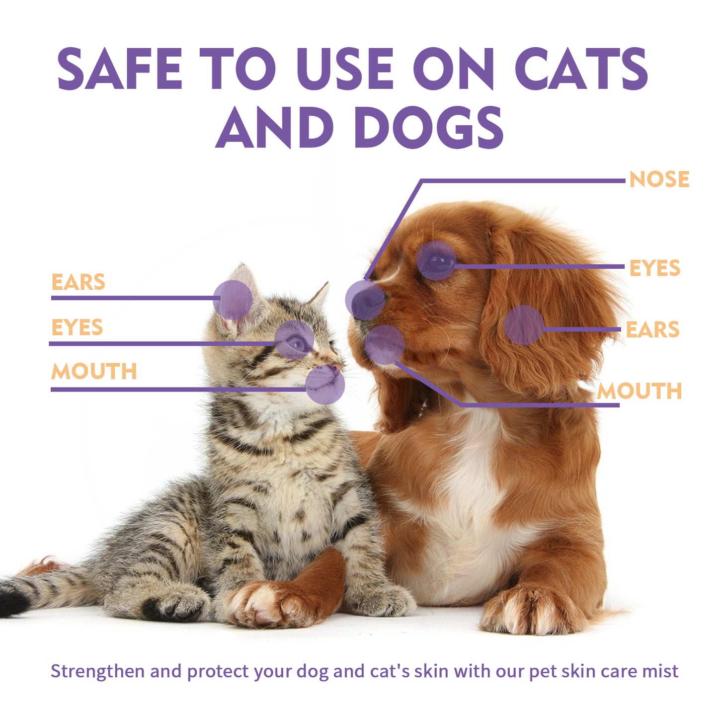 2e564b80-e3c7-4860-8949-5c9e48ba1fd7