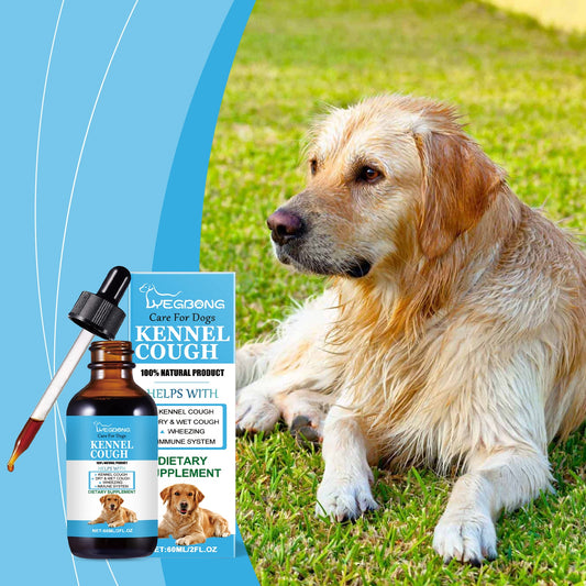 Yegbong Dog Nutritional Syrup Enhanced Absorption Formula for Daily Health Support