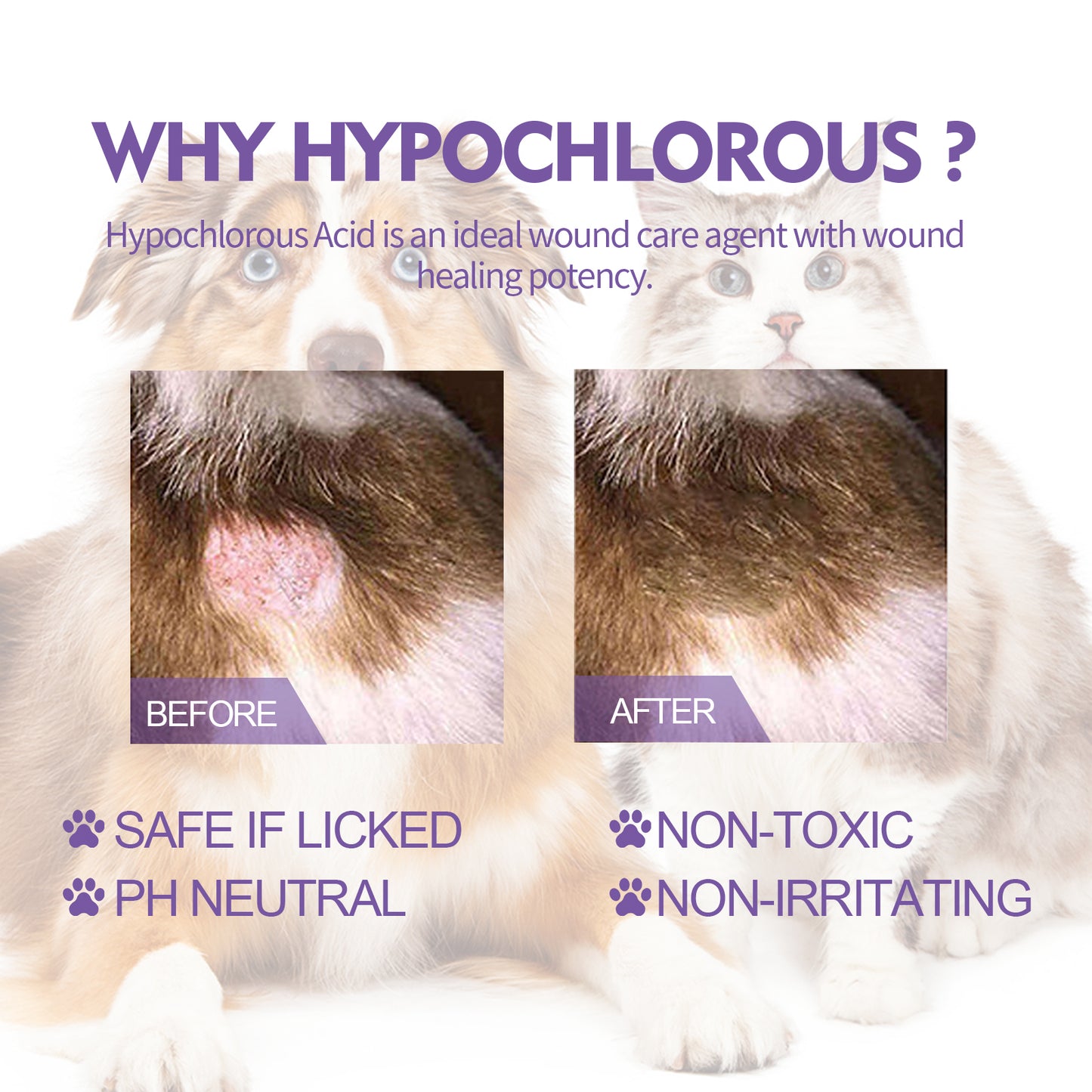 a7907efb-8556-4be1-9d41-2d55e03c7ef1