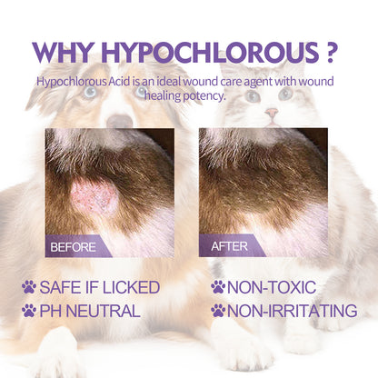 a7907efb-8556-4be1-9d41-2d55e03c7ef1