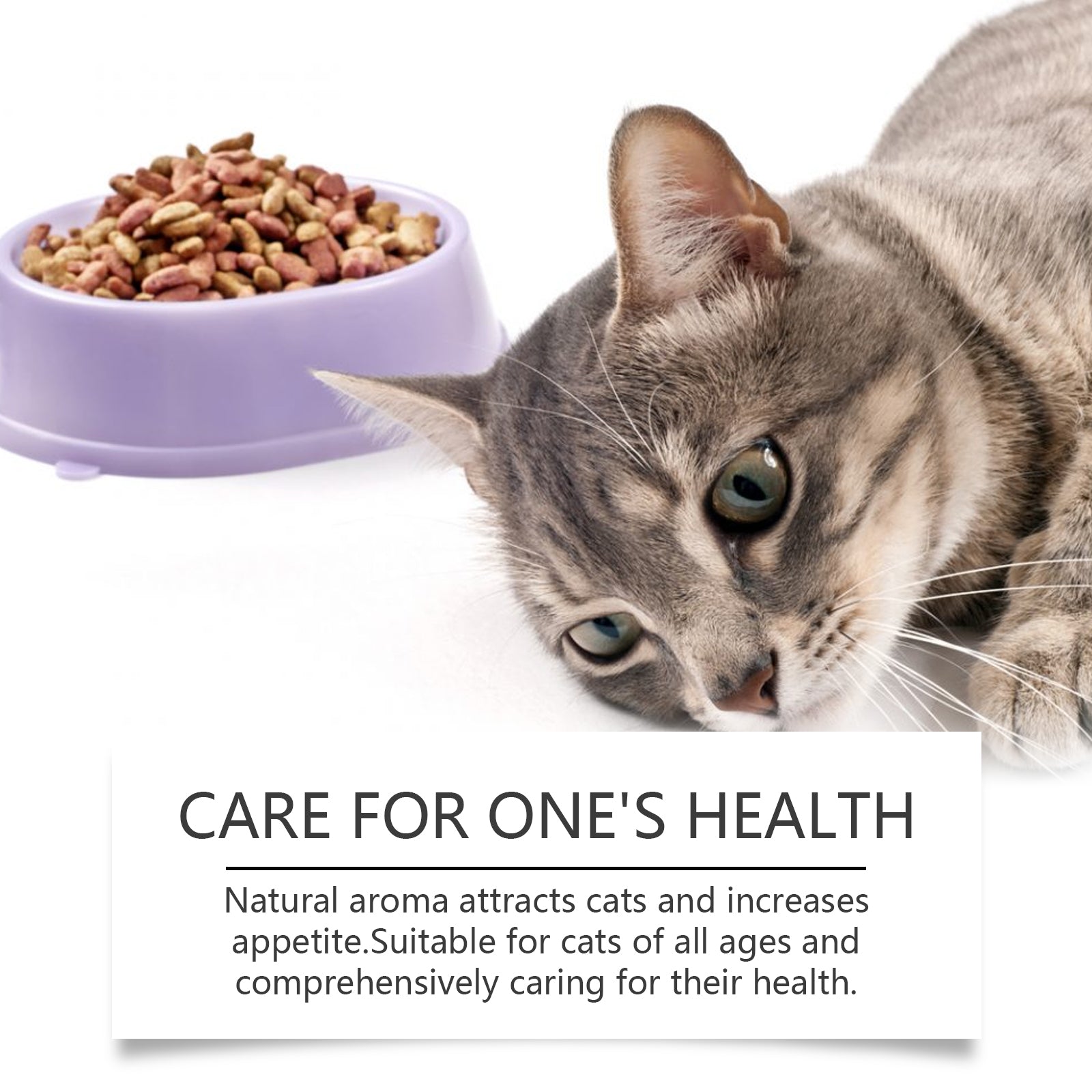 9f7b0645-852c-42a6-9c77-dcfad9a2dbce