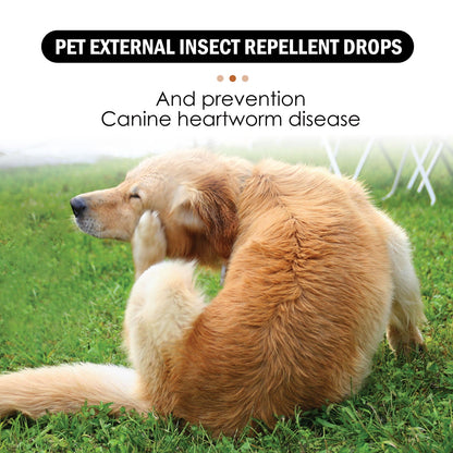 Yegbong Pet Flea and Tick Treatment Drops Effective Outdoor Parasite Control for Cats and Dogs