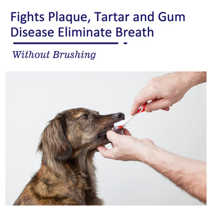 dd01163b-3702-43e9-8577-a5c61c3e04ab
