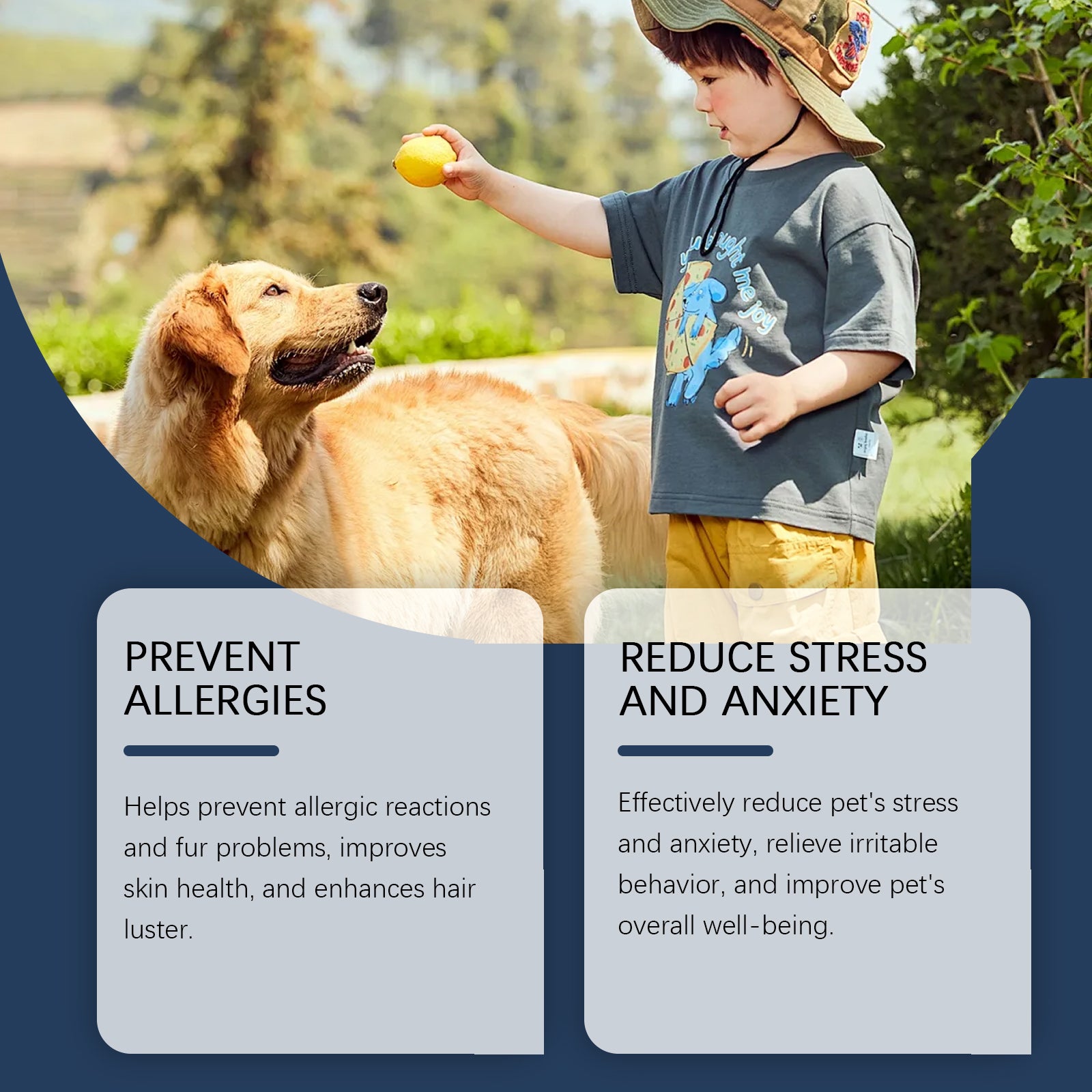 9e8d2b2f-2c58-469e-9cc1-b4181632caaf