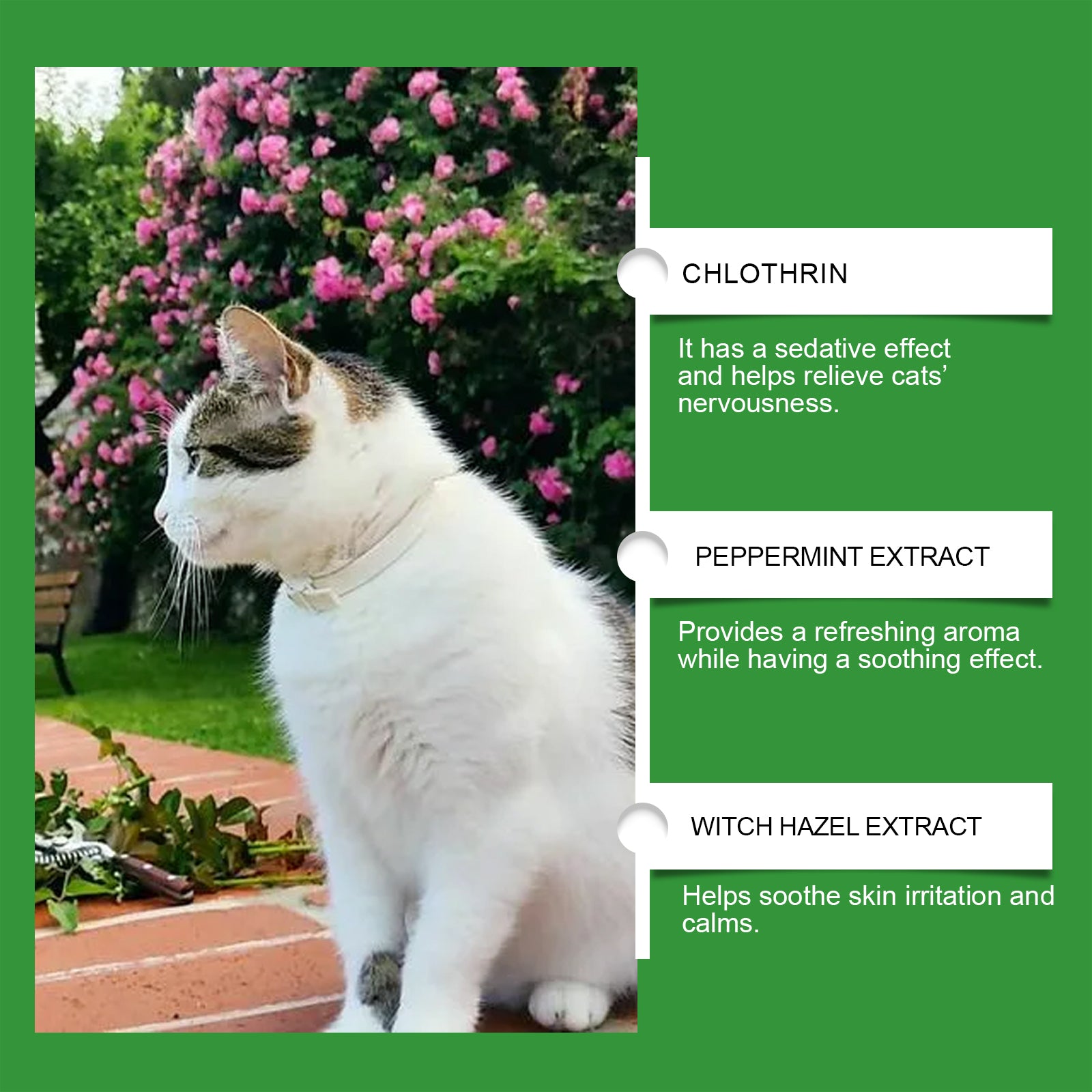 b6d44370-31a9-403a-989a-dce0ee50545f