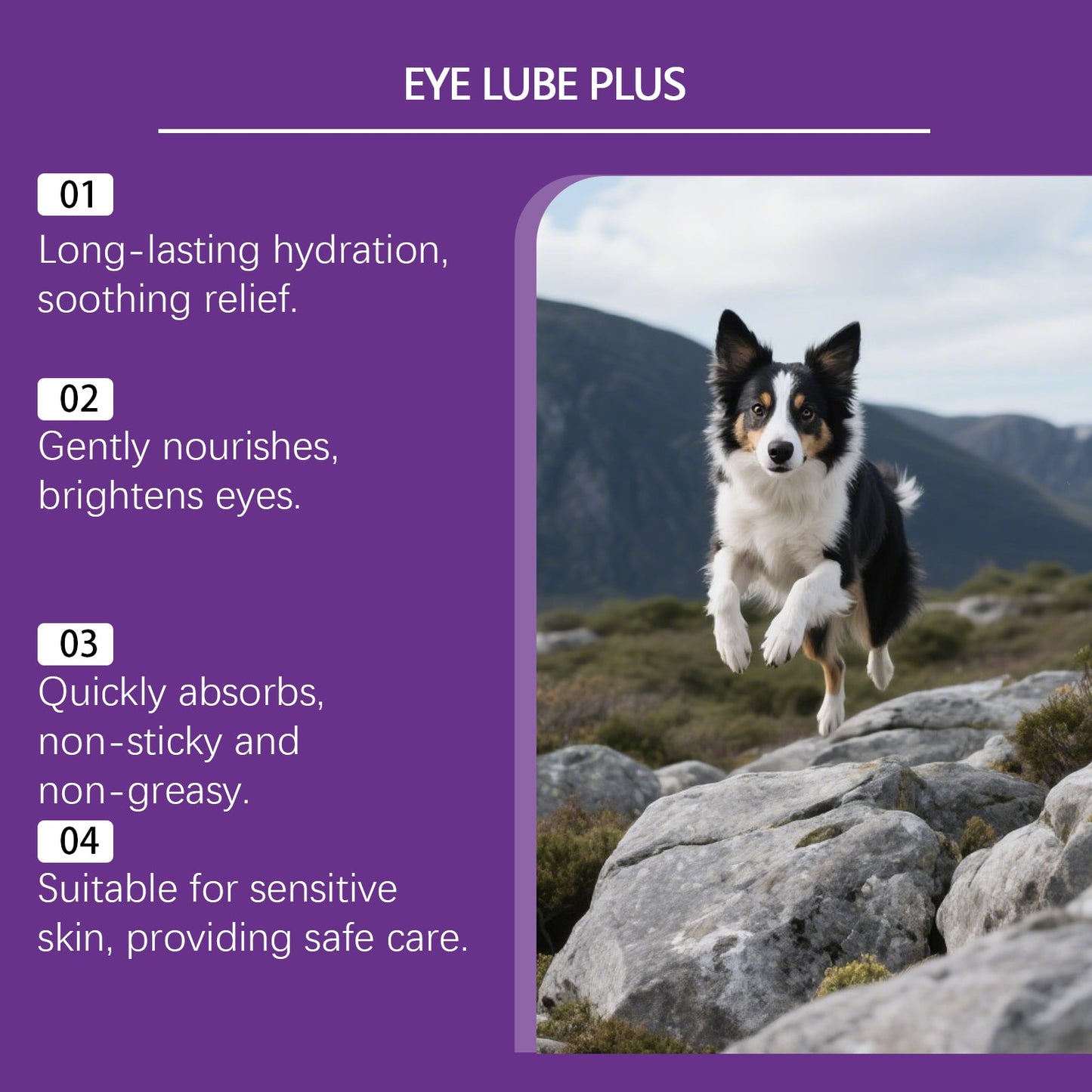 EelJoy Pet Eye Tear Stain Paste Gentle No Rinse Clean for Dogs and Cats