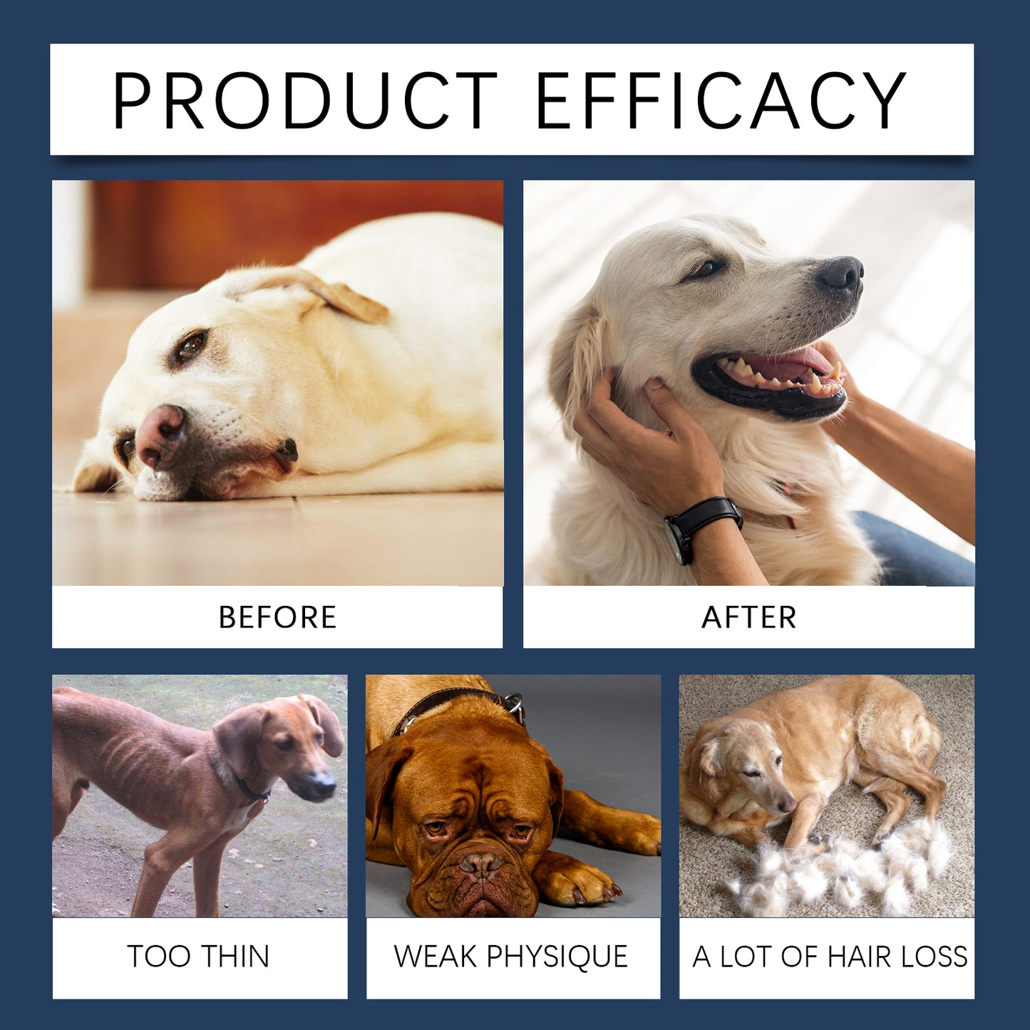 3a578e7a-4b9e-48ea-8fe7-30444c0d7852