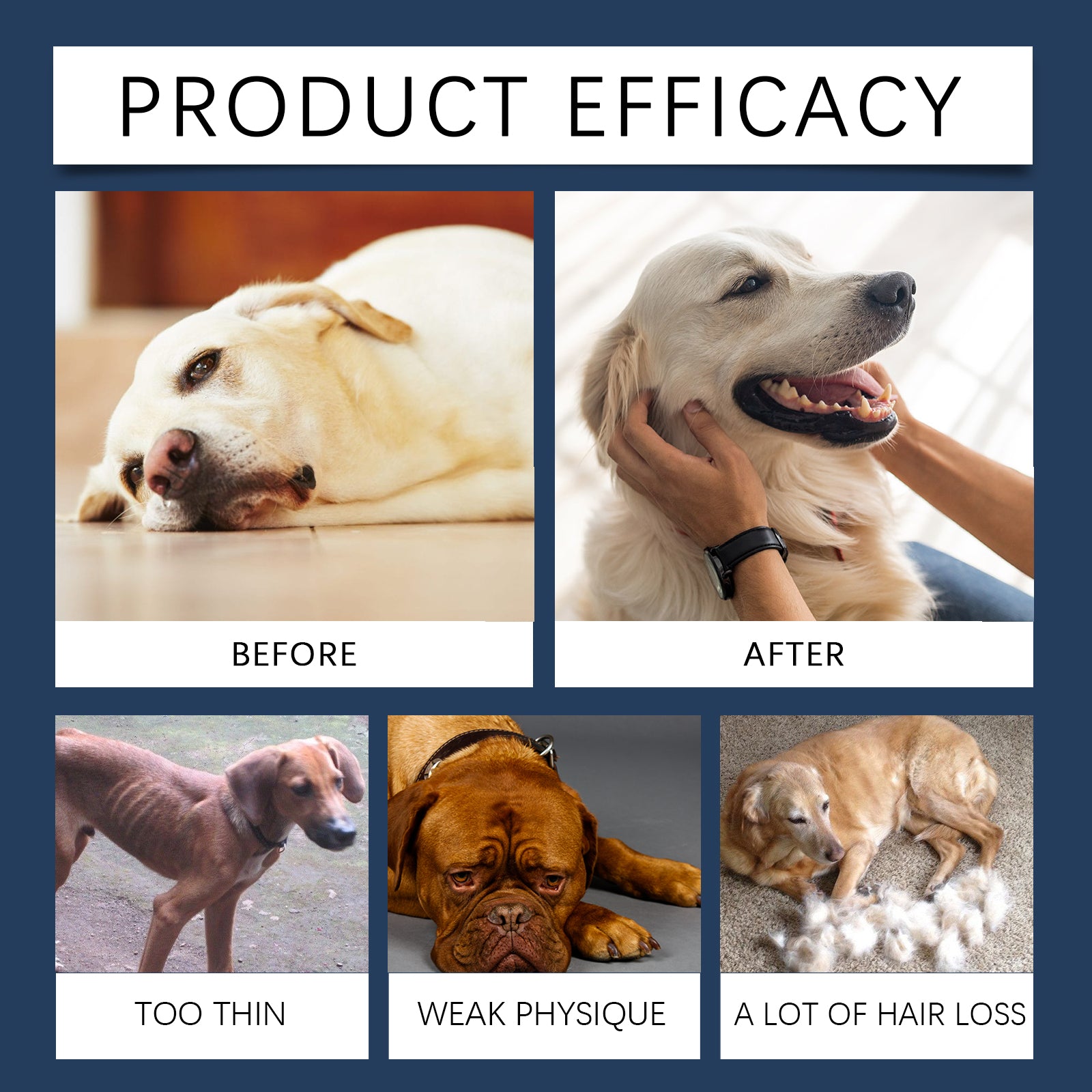 3a578e7a-4b9e-48ea-8fe7-30444c0d7852