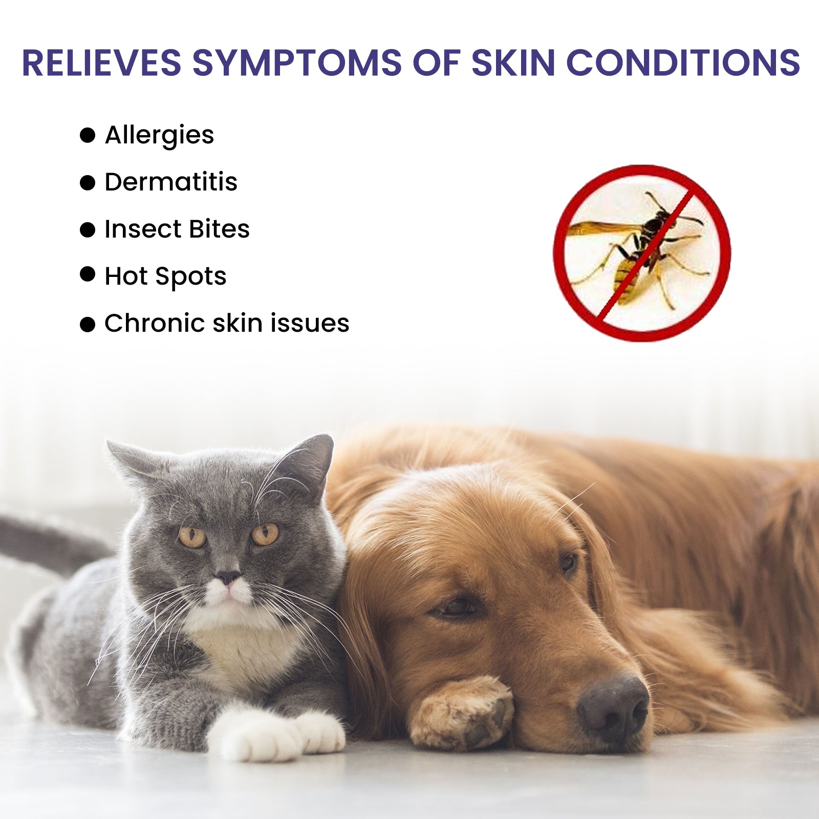 97c09857-4596-450b-80e4-c3912a8cae66