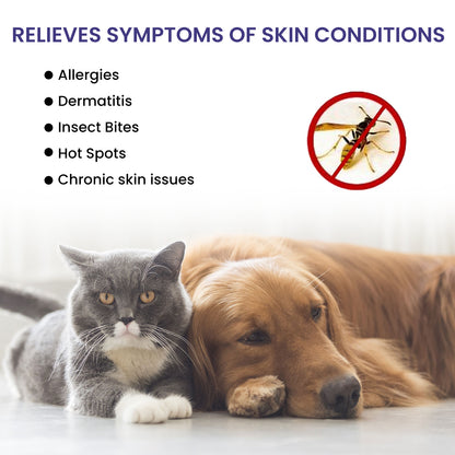 97c09857-4596-450b-80e4-c3912a8cae66