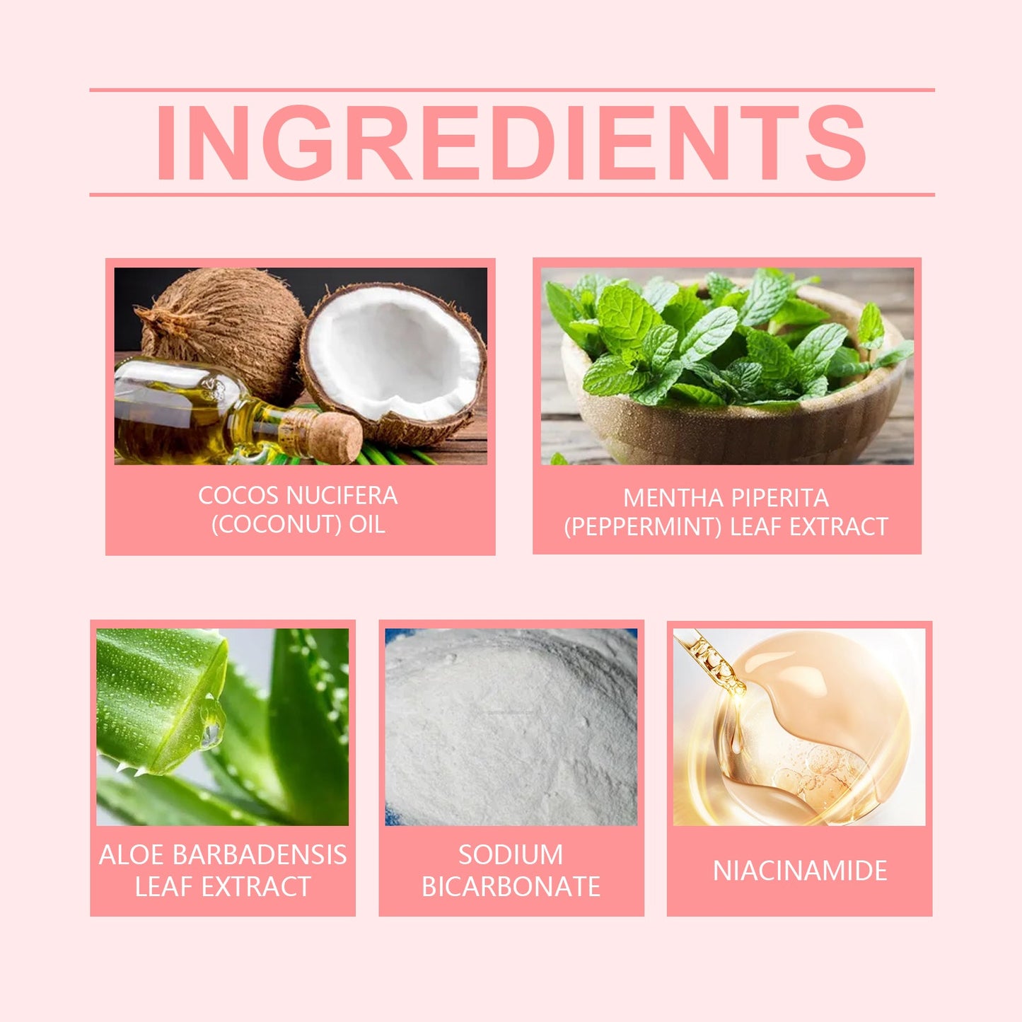 Dentifrice Oralhoe à la niacinamide Nettoie et protège les dents Élimine les odeurs et la plaque dentaire Soins bucco-dentaires quotidiens